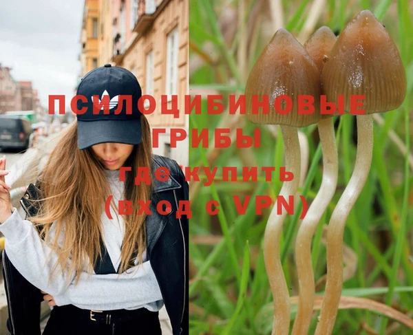 a pvp Армянск