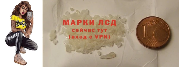 гидра Гатчина