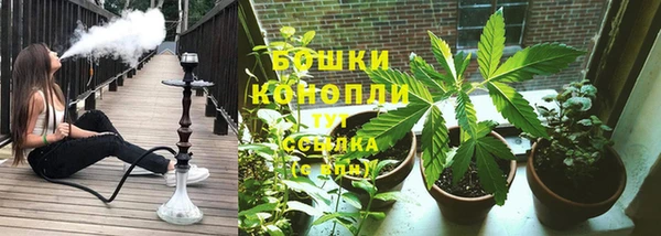 apvp Арсеньев