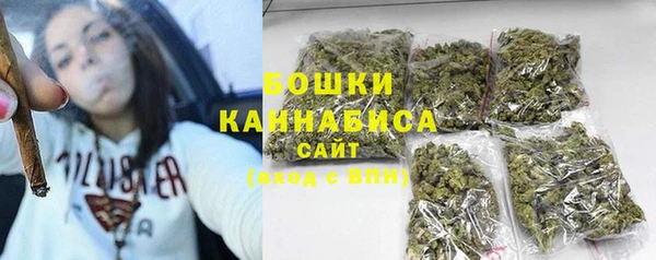 гидра Гатчина