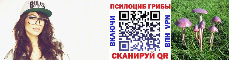 Псилоцибиновые грибы мицелий  купить наркотики сайты  Елабуга 