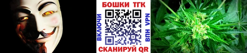 Бошки Шишки планчик Елабуга